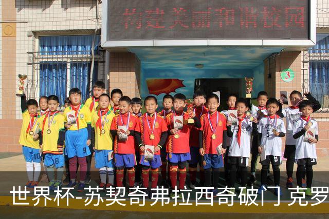 世界杯-苏契奇弗拉西奇破门 克罗地亚2-1加纳小组第二