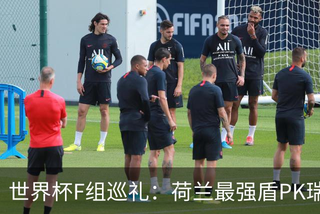 世界杯F组巡礼：荷兰最强盾PK瑞典犀利刀 日本短板明显