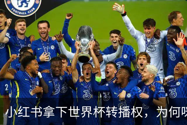 小红书拿下世界杯转播权，为何咪咕却成最大赢家？