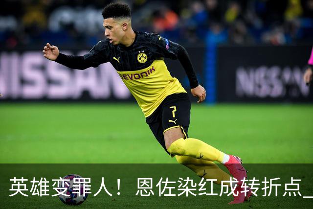 英雄变罪人！恩佐染红成转折点 阿根廷从惊喜走向遗憾