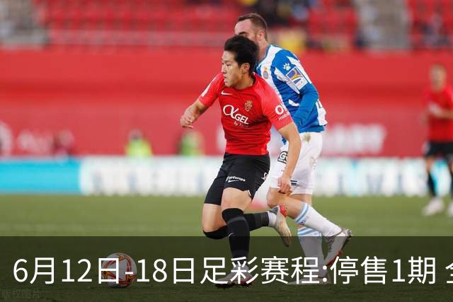 6月12日-18日足彩赛程:停售1期 全部为世界杯小组赛